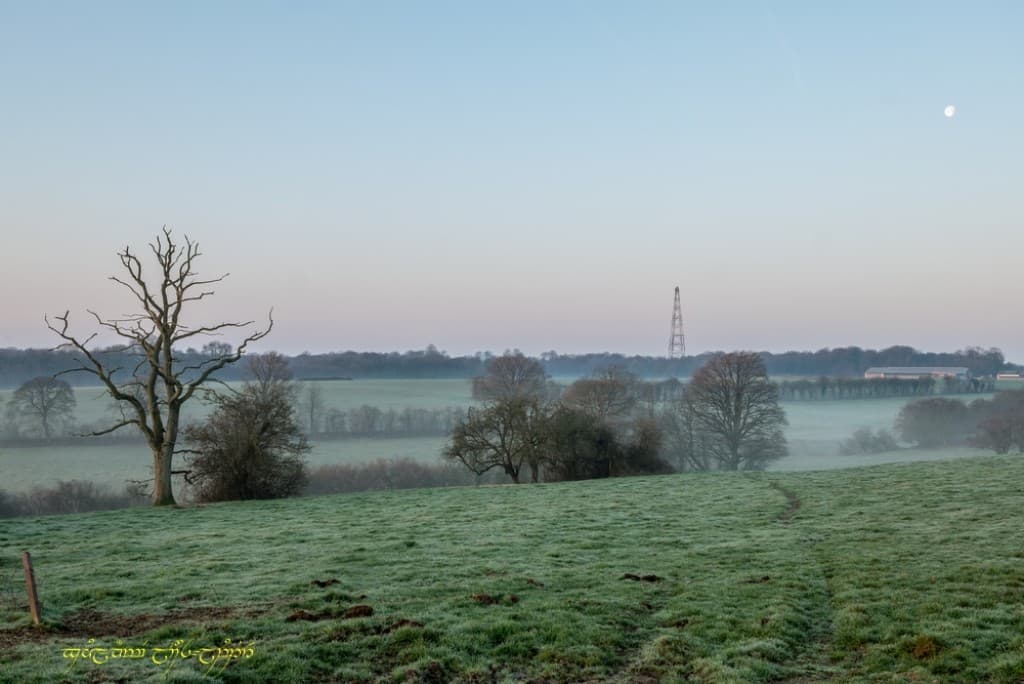 Brume matinale