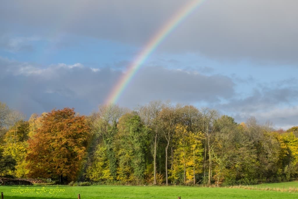 Couleurs d'automne