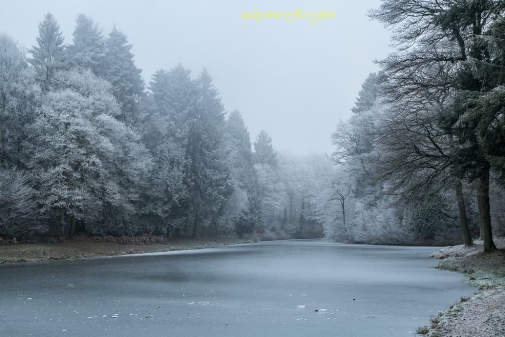 Etang du Vivier pris par la glace -II