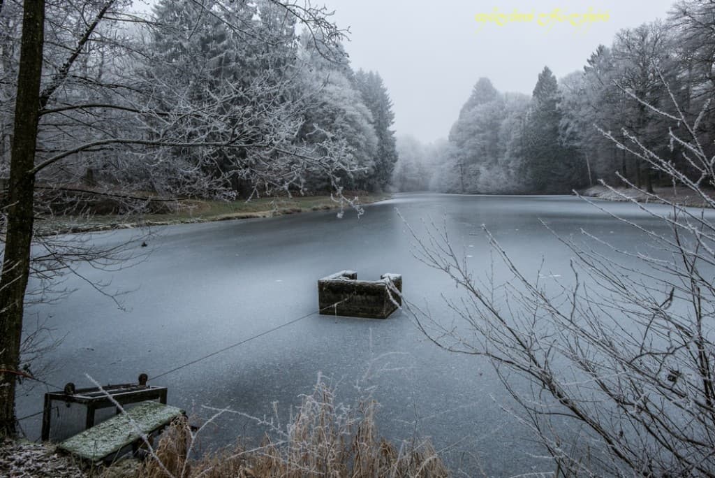 Etang du Vivier pris par la glace -III