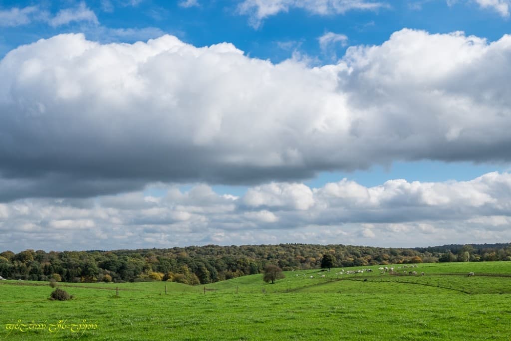 Fagne et couleurs d'automne
