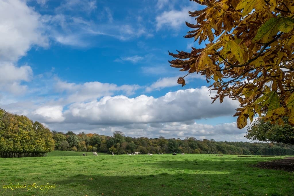 L'automne et ses couleurs