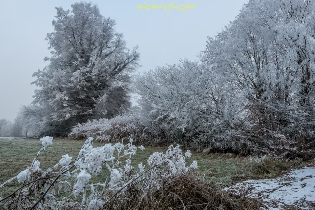 Reliquats neigeux