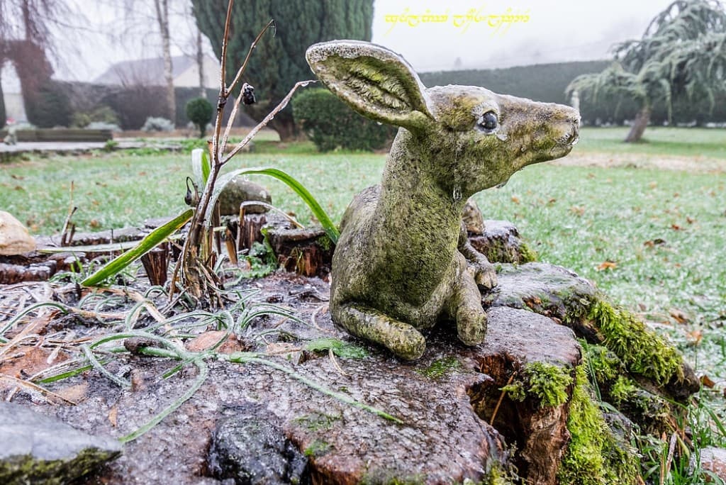 Chagrinant verglas du matin -IV