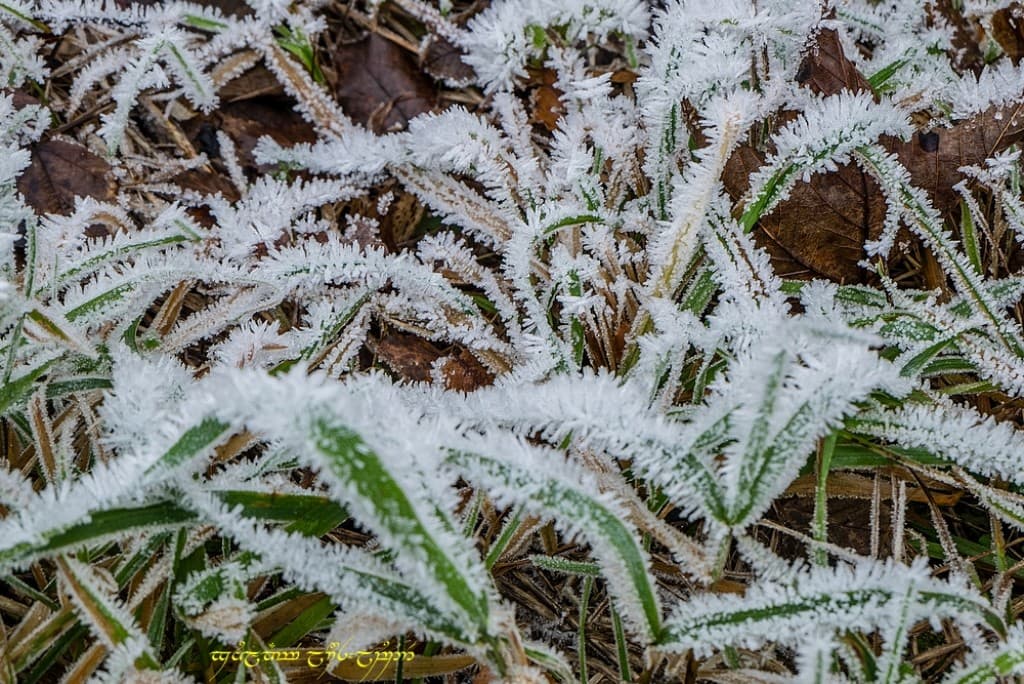 Givre abondant à l'ombre