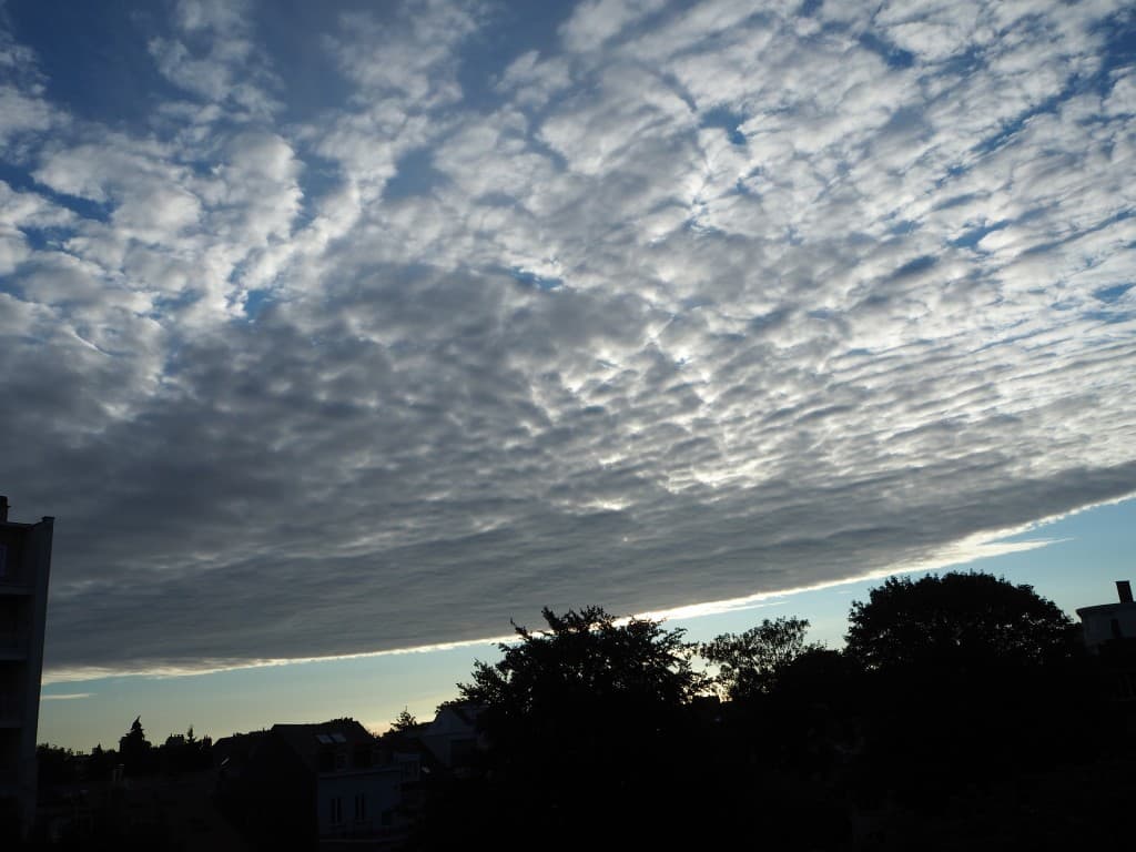 la ligne du matin