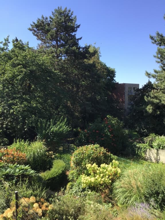 Le soleil est lÃ  !!!