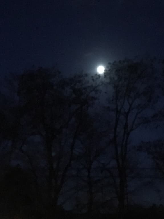 nuit de lune 