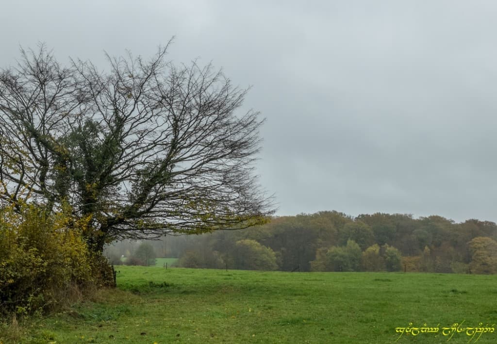 Pluie de novembre -II