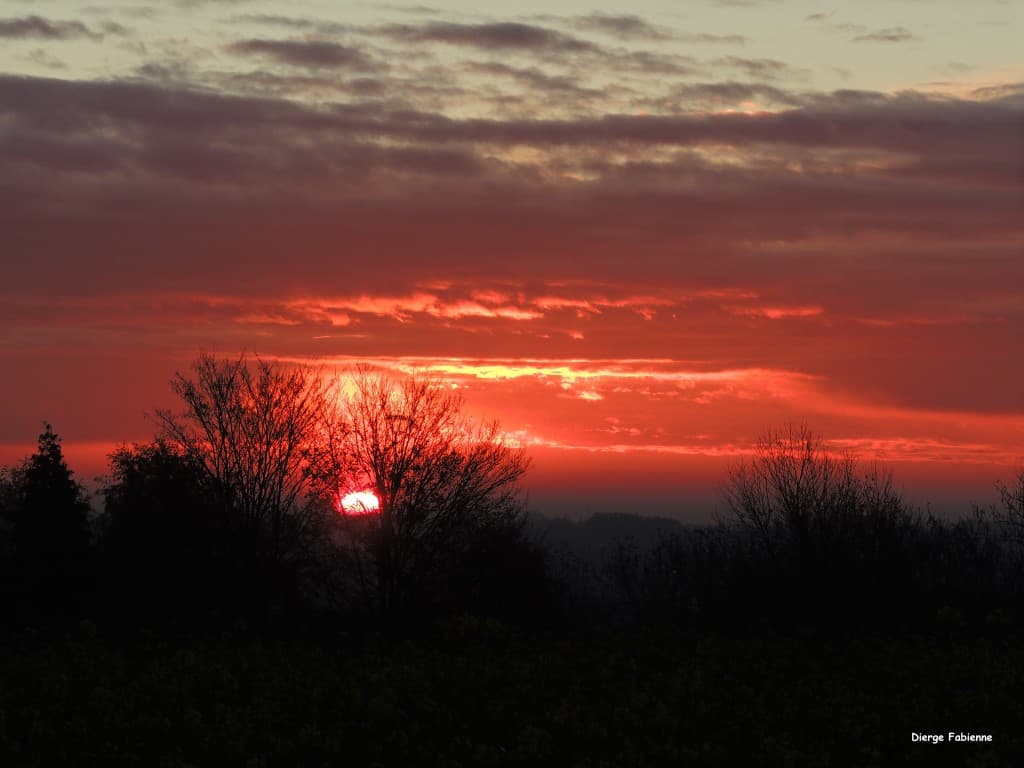 Un matin à Neder-Over-Heembeek