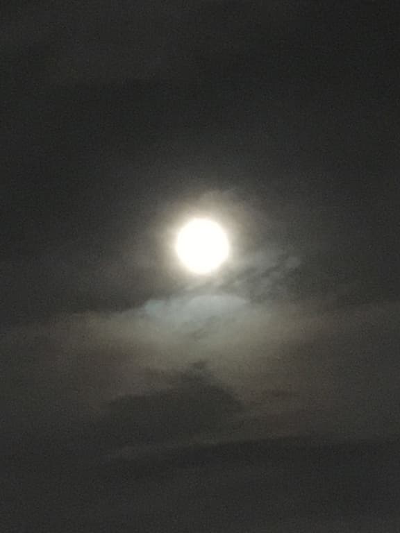 Lune