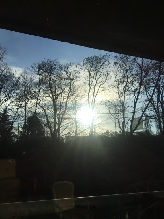 plein soleil 