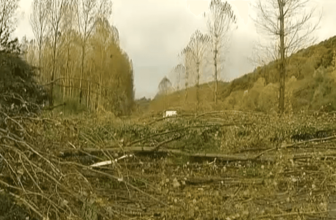 Image d'illustration pour BILAN OCTOBRE 2013 : grande douceur parfois orageuse