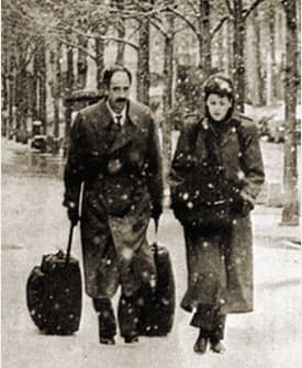 Image d'illustration pour Les chutes de neige de la fin du mois de novembre sont-elles exceptionnelles ?