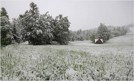 Image d'illustration pour L'hiver en mai : une situation récurrente