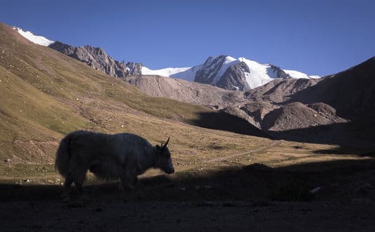 Image d'illustration pour Réchauffement & changement climatique : veille documentaire