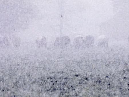 Image d'illustration pour L'hiver en mai : une situation récurrente