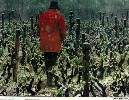 Image d'illustration pour L'hiver en mai : une situation récurrente