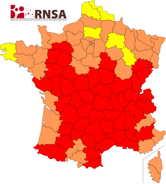 Image d'illustration pour Risque allergique élevé face aux pollens de graminées