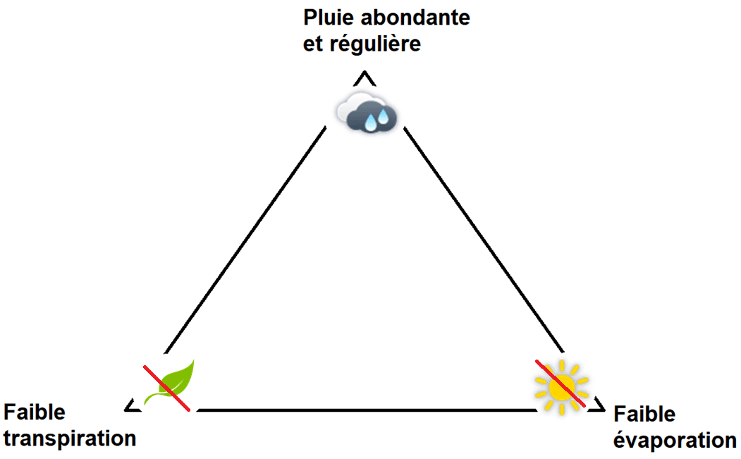 Image d'illustration pour Le risque de sécheresse se maintient malgré le temps perturbé
